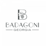 _лого_badagoni.png