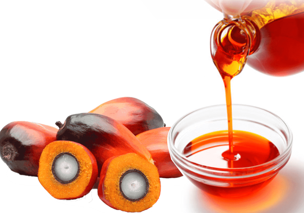 пальмовое масло вред и польза